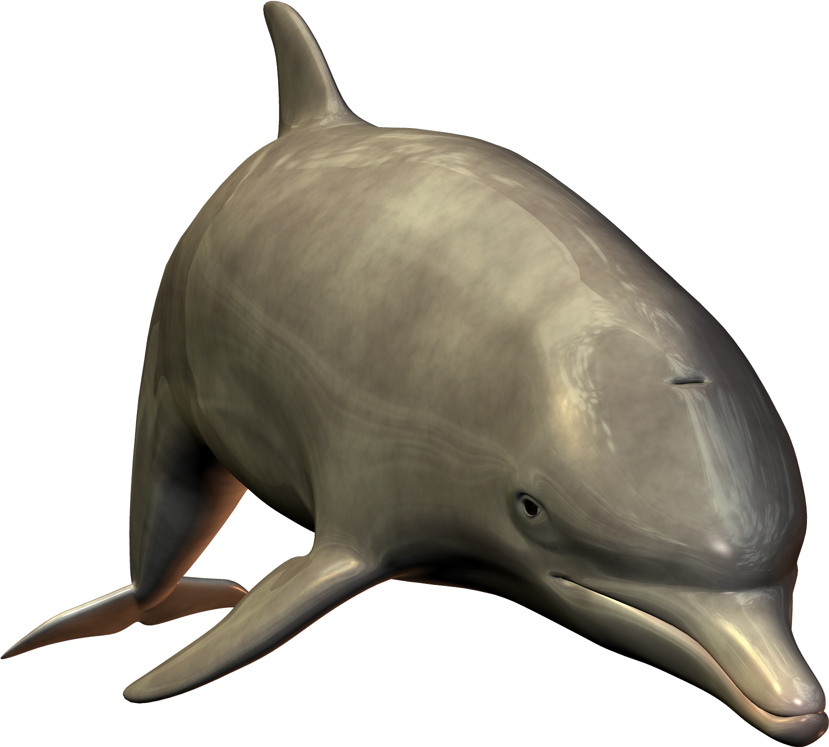 Dolphins Jumping Clipart Download - Bottlenose Dolphin Png (1683x1531)