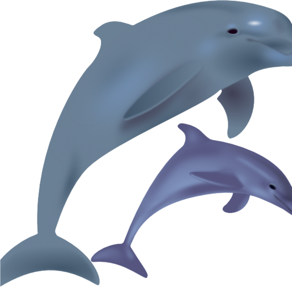 Dolphin Clipart Dolphins Clip Art At Clker Vector Clip - Cartoon Dolphin Png (1024x1024)