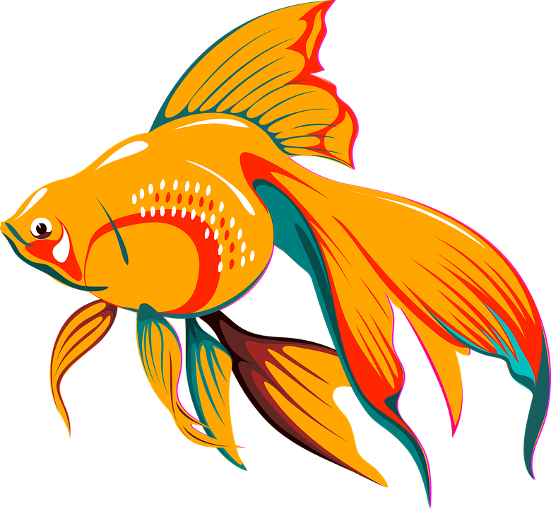 Fish Asian Tail Golden Exotic Tropical Fin - Fish Clipart Vector (1280x1182)