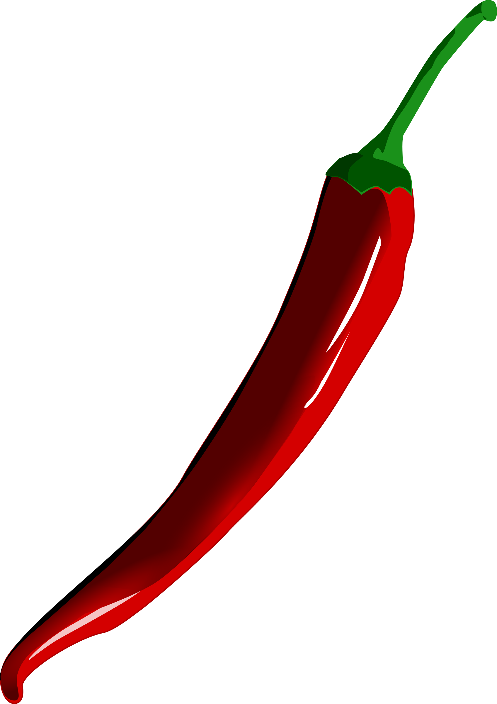 Chile Clipart Sili - Red Chilli Vector (1696x2400)