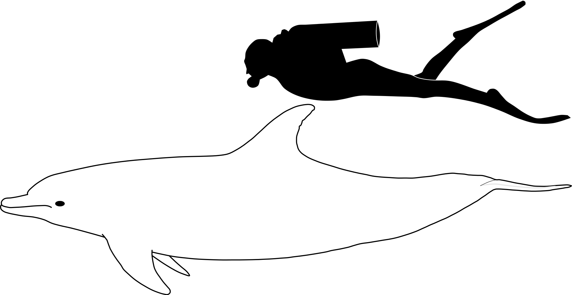 Open - Size Of A Dolphin (2000x1032)