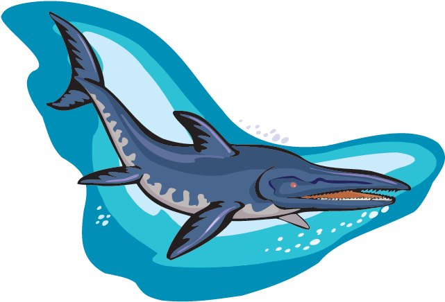 Ichthyosaur - Ichthyosaurs With Transparent Background (640x481)