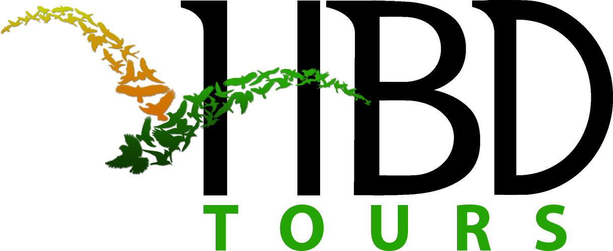 Bali Driver And Private Guide In Bali - Hire Bali Driver (1214x497)