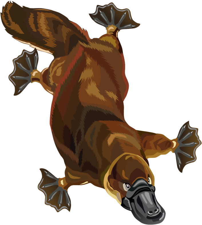 Free To Use Amp Public Domain Small Mammals Clip Art - Platypus Clip Art (830x897)