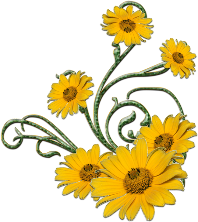 Yellow Flowers Clip Art Border Download - Yellow Flowers Png (800x800)