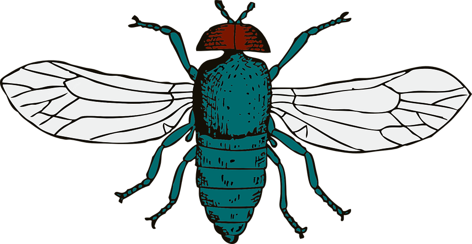 Cartoon Fly 27, Buy Clip Art - Cartoon Fly Shower Curtain (960x496)