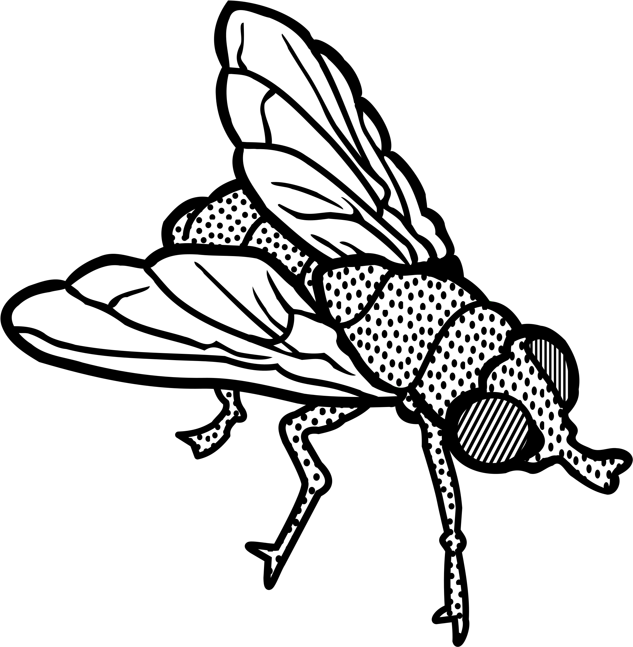 Fly - Lineart - Fly Clipart Black And White Png (2350x2400)