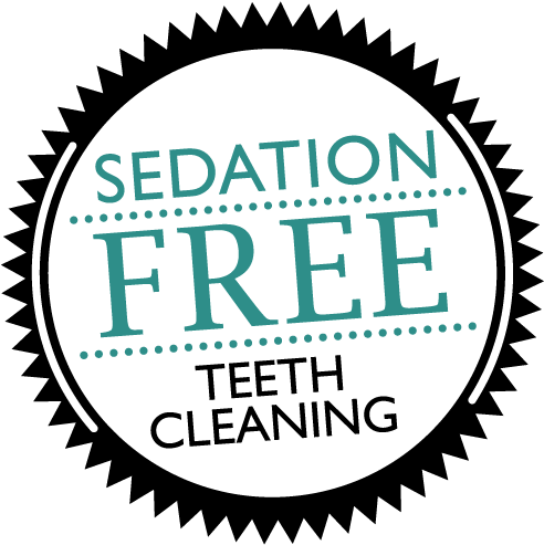 Sedation Free Dog Teeth Cleaning - Shimano Fc 5700 39t (500x500)