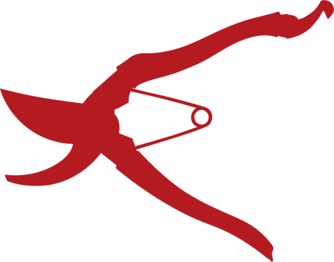 High Quality Japanese Pruners Quick Delivered From - Pruning Shears (477x374)