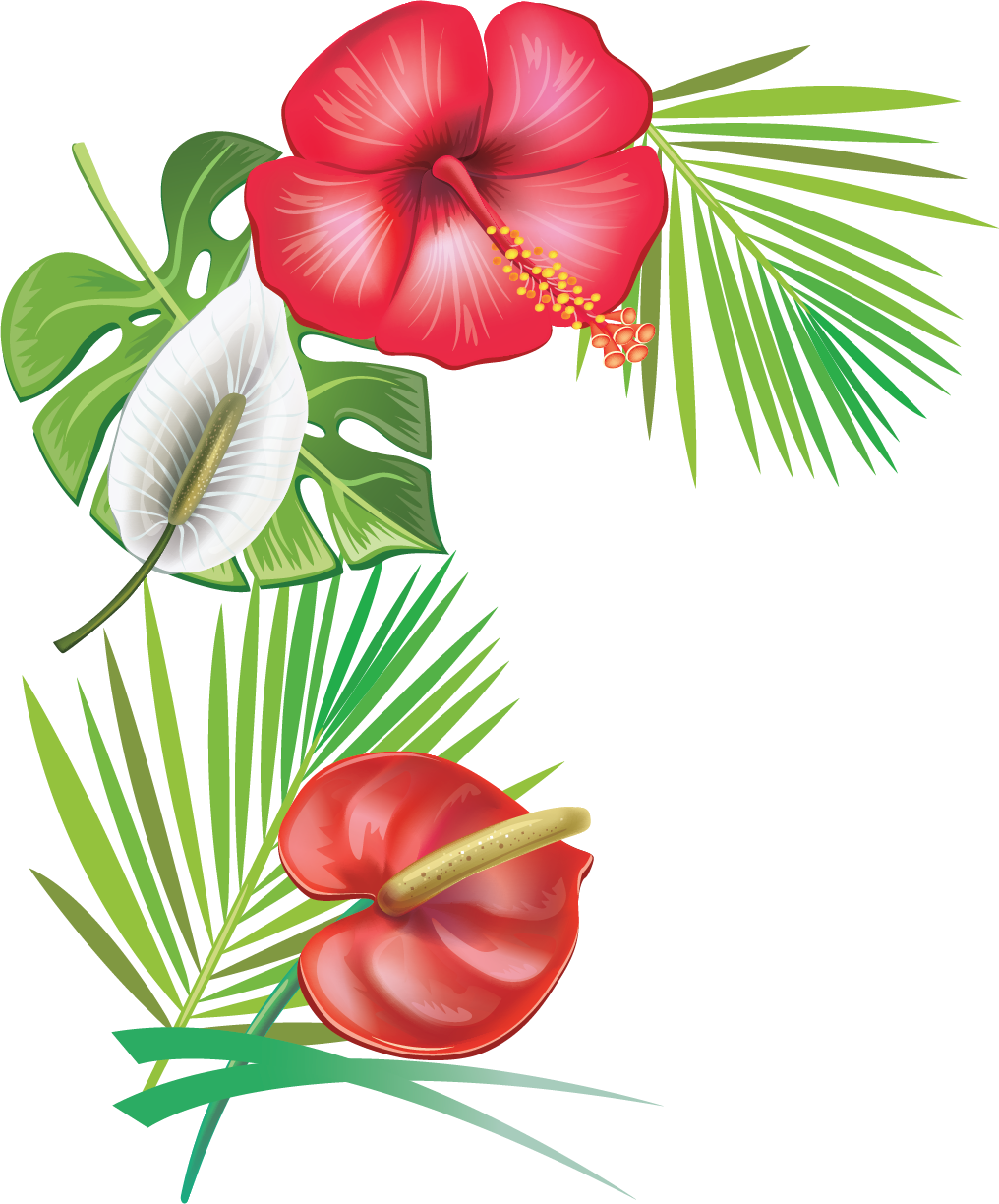 Thank You For Joining Us For An Evening In The Caribbean - Tapas (1016x1224)