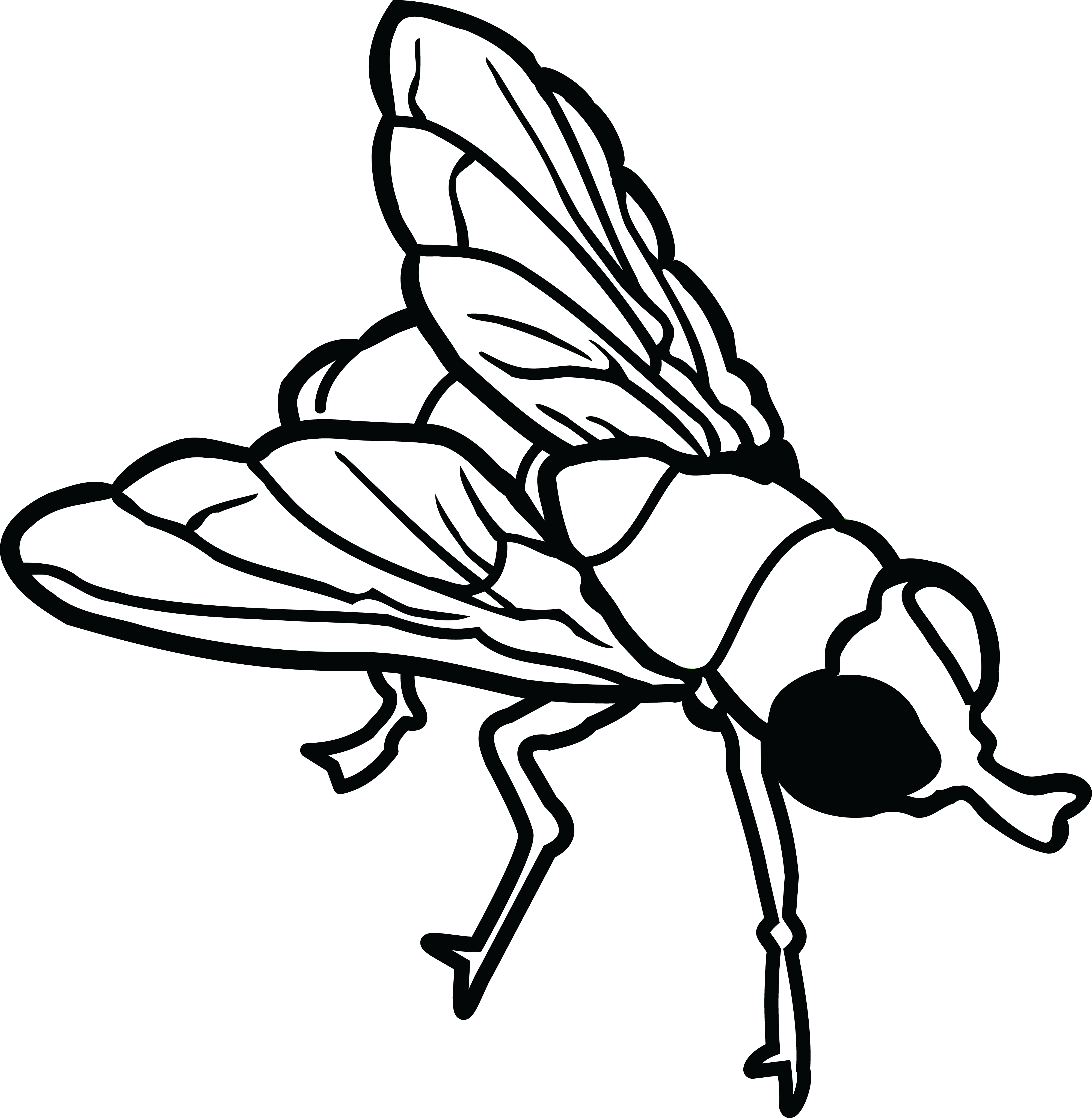 Fly draw. Муха раскраска для детей. Муха черно белая. Муха контур. Муха рисунок.