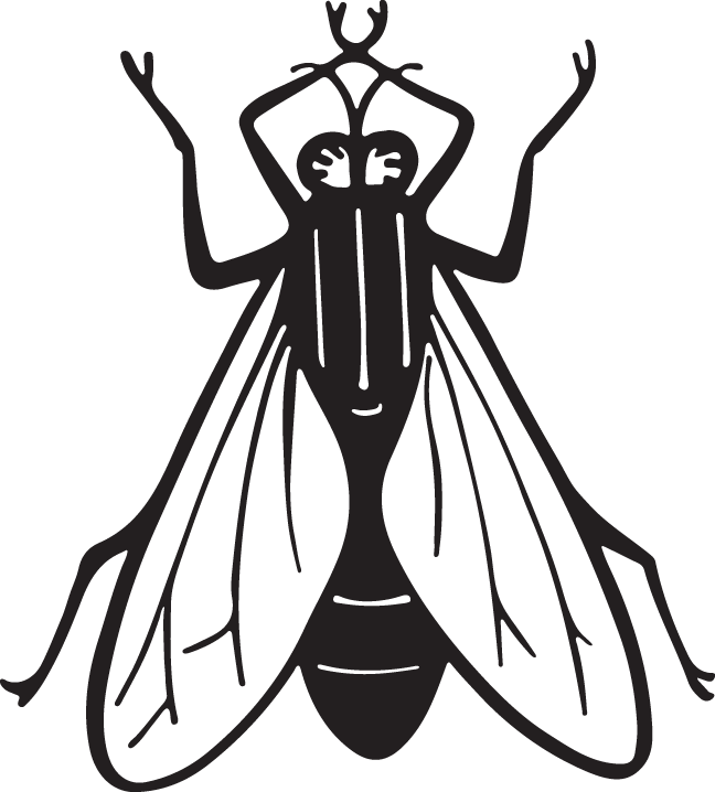 Insect - Art Print: Pop Ink - Csa Images' Housefly, 30x30in. (648x718)