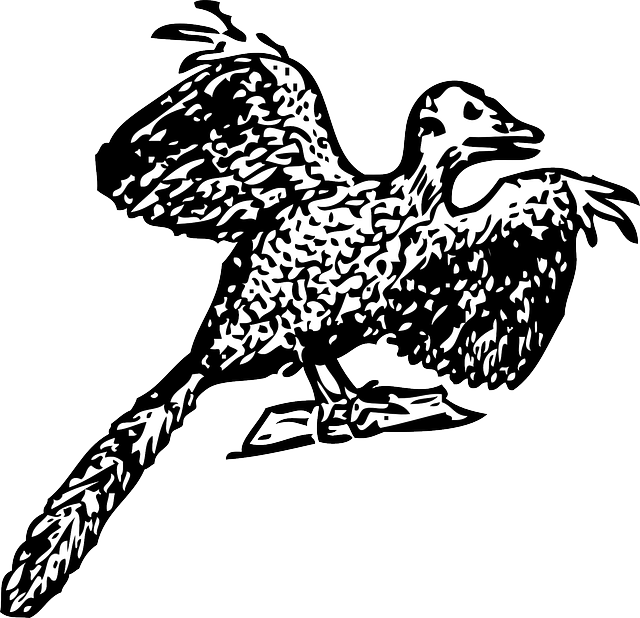 Carnivore Black, Bird, Fly, Historic, Animal, Hunter, - Archaeopteryx (640x618)