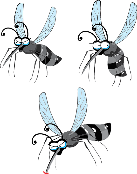 Cartoon Fly Pictures 27, - Mosquito (568x720)