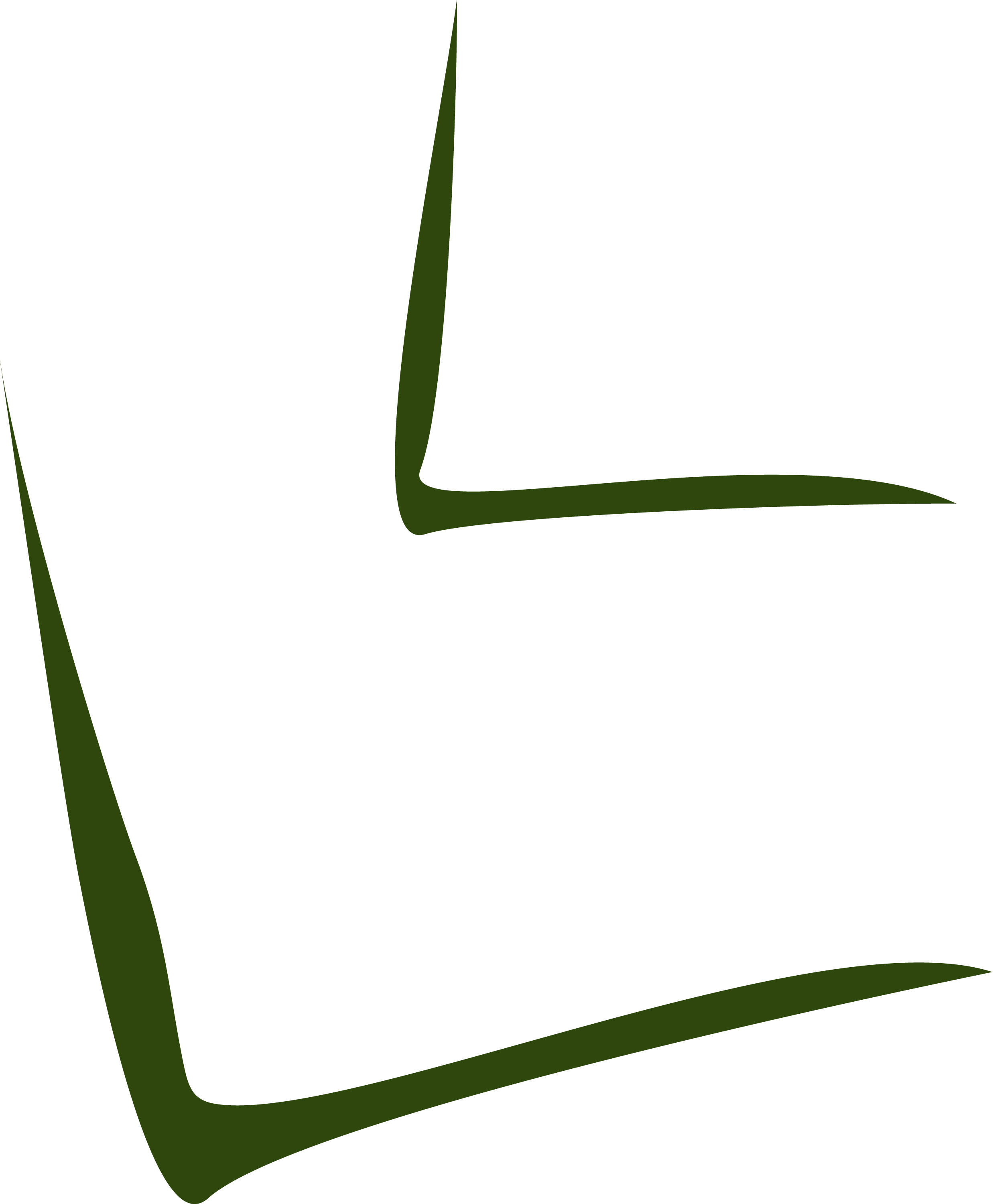 We Are The Caribbean (2475x3000)