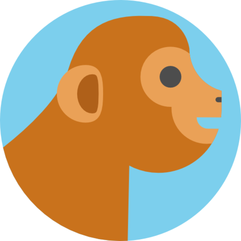 Langur Monkeys In Co-existence With Humans - Monkey (960x960)