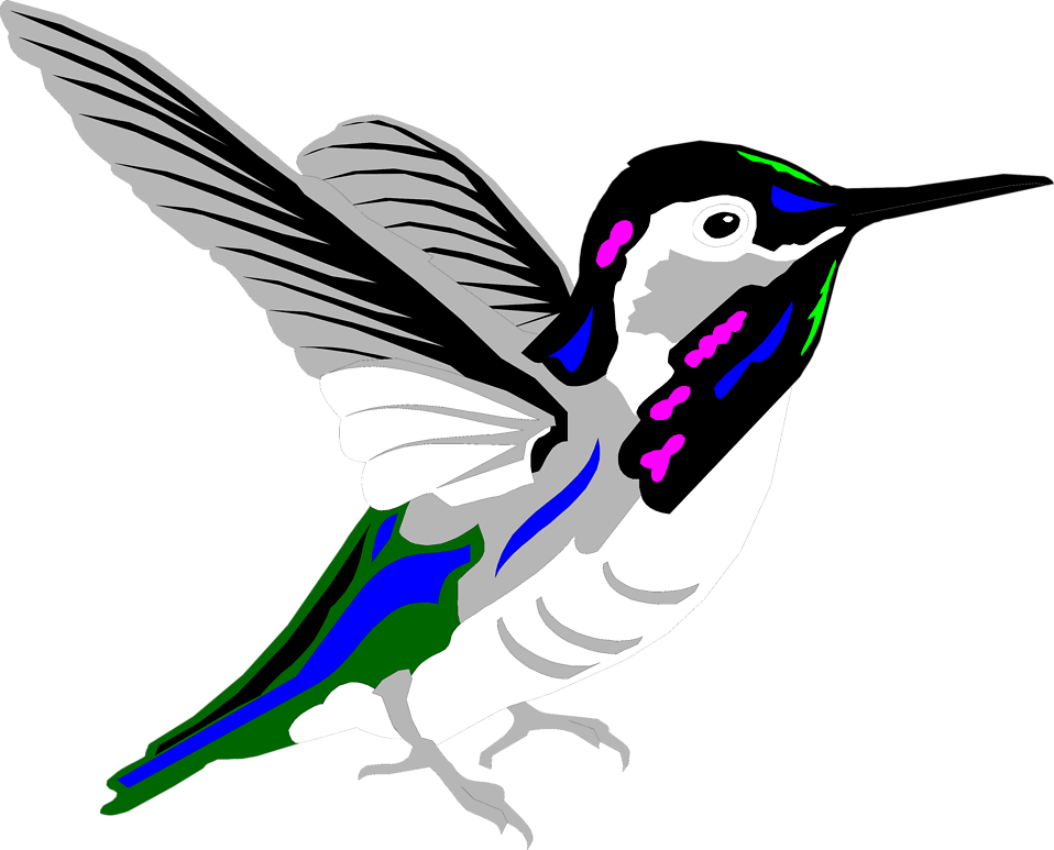 Hummingbird Free Stock Photo Illustration Of A Hummingbird - Colibri Multicolor (958x773)