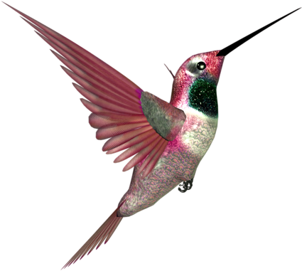 Hummingbirds - Hummingbird (500x500)