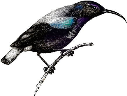 Related Words Logo - Illustration (500x384)