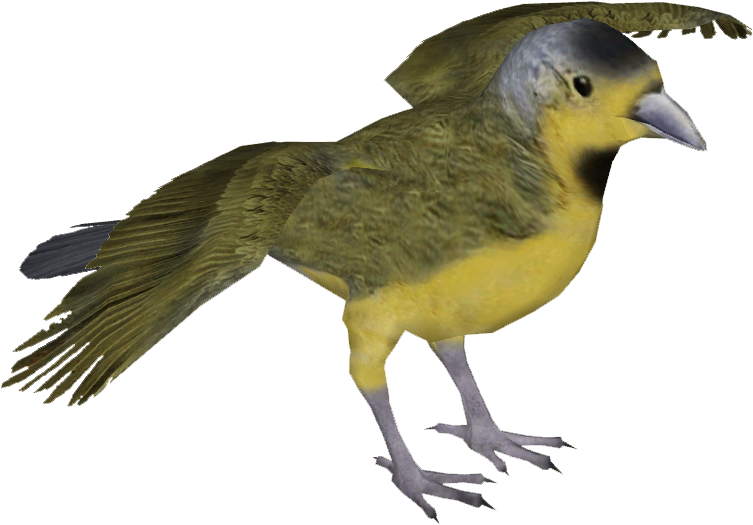 Bachman's Warbler M - European Robin (752x752)