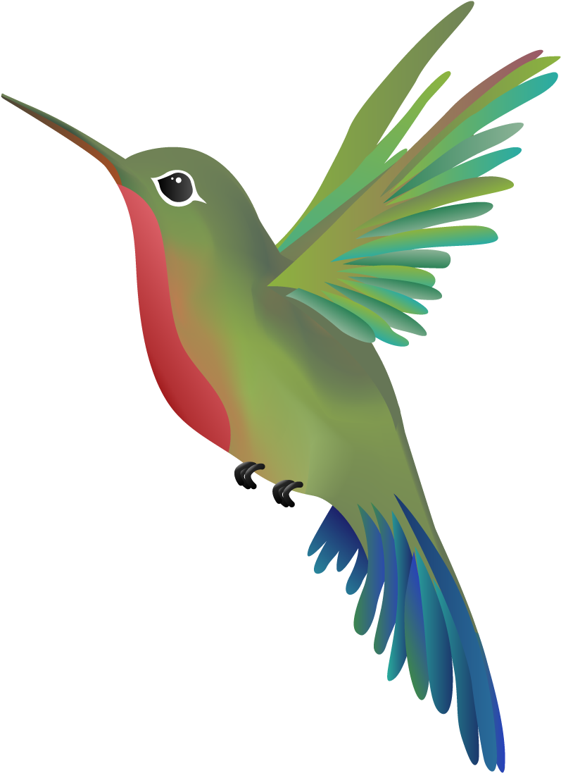 World Champion Massage Issaquah Wandering Hummingbird - Hummingbird (2000x1200)