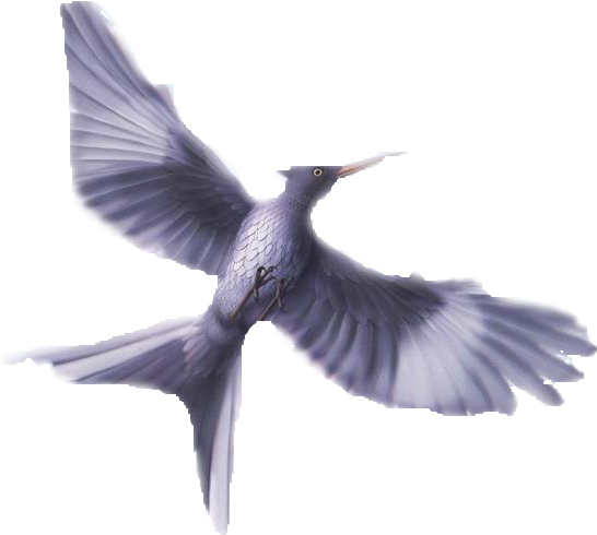 Sinsajo Png By Jimeetributo - Hardcover: Mockingjay Bk 3 Hunger Games By Suzanne (960x600)