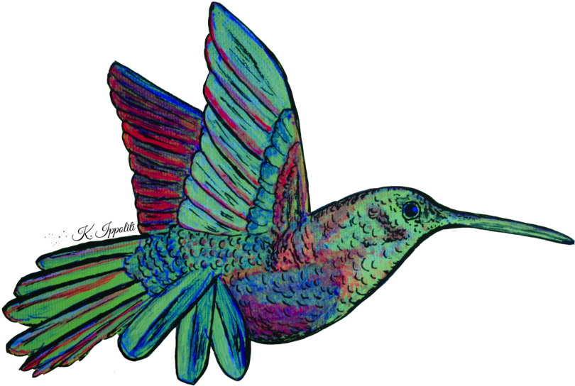Hummingbird - Hummingbird (1024x822)