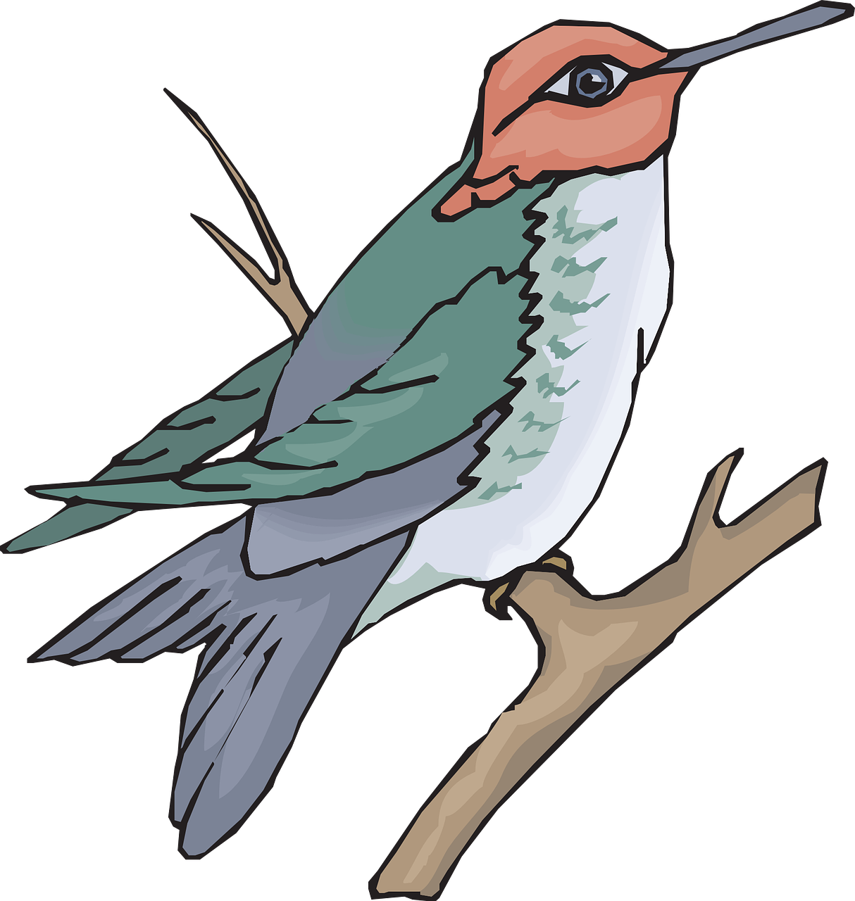 Bird Branch Wings Hummingbird Png Image - Bird Branch Wings Hummingbird Png Image (1214x1280)