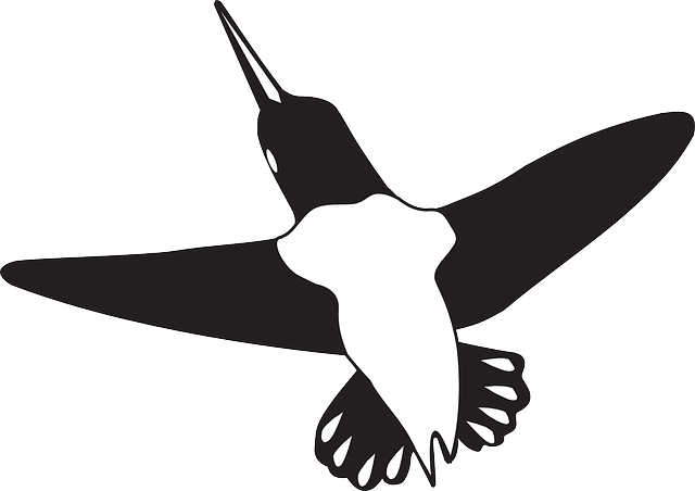 Flying, Wings, Art, Hummingbird, Animal, Beak - Black And White Hummingbird Shower Curtain (640x452)