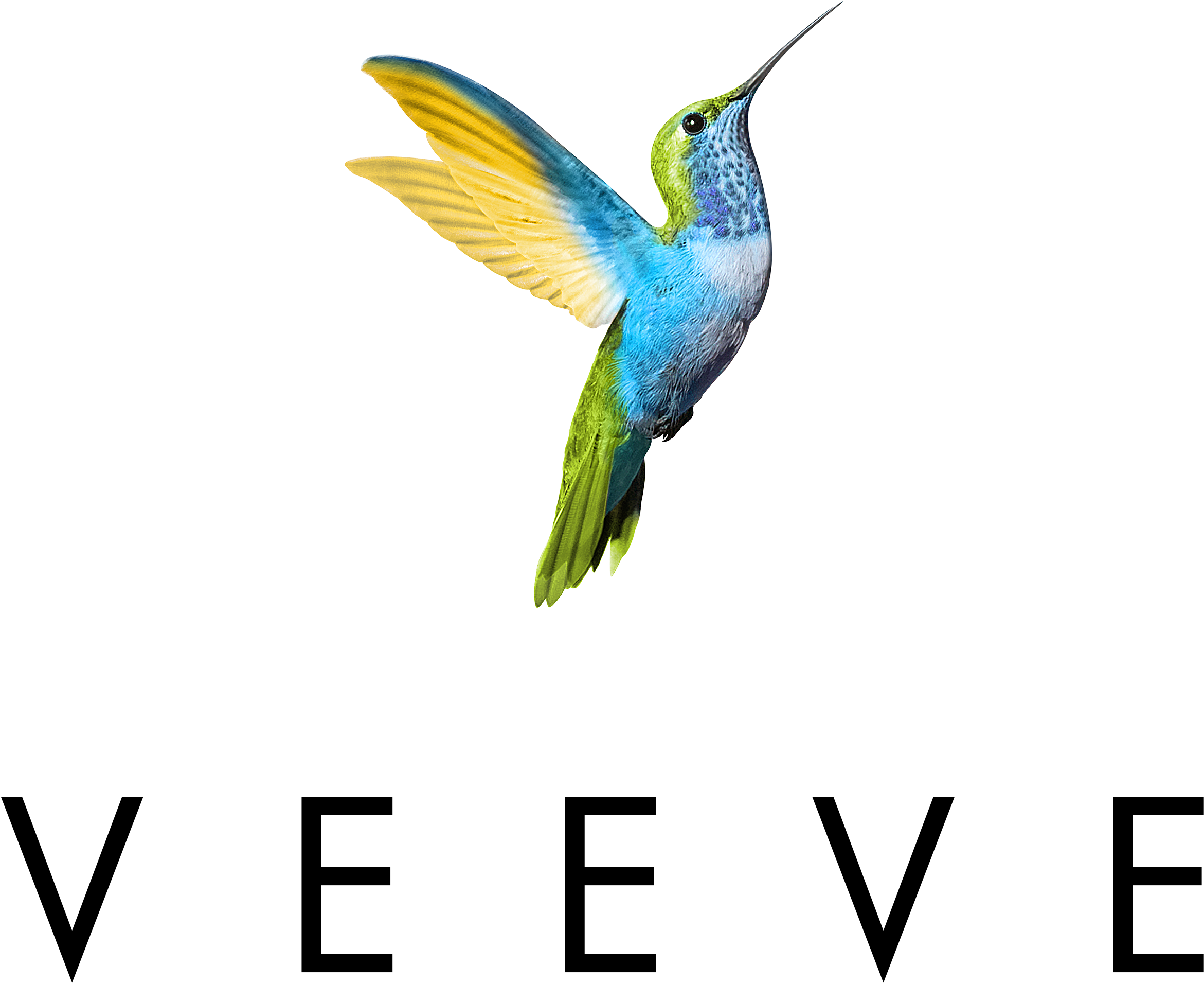 Veeve Logo (3064x2605)