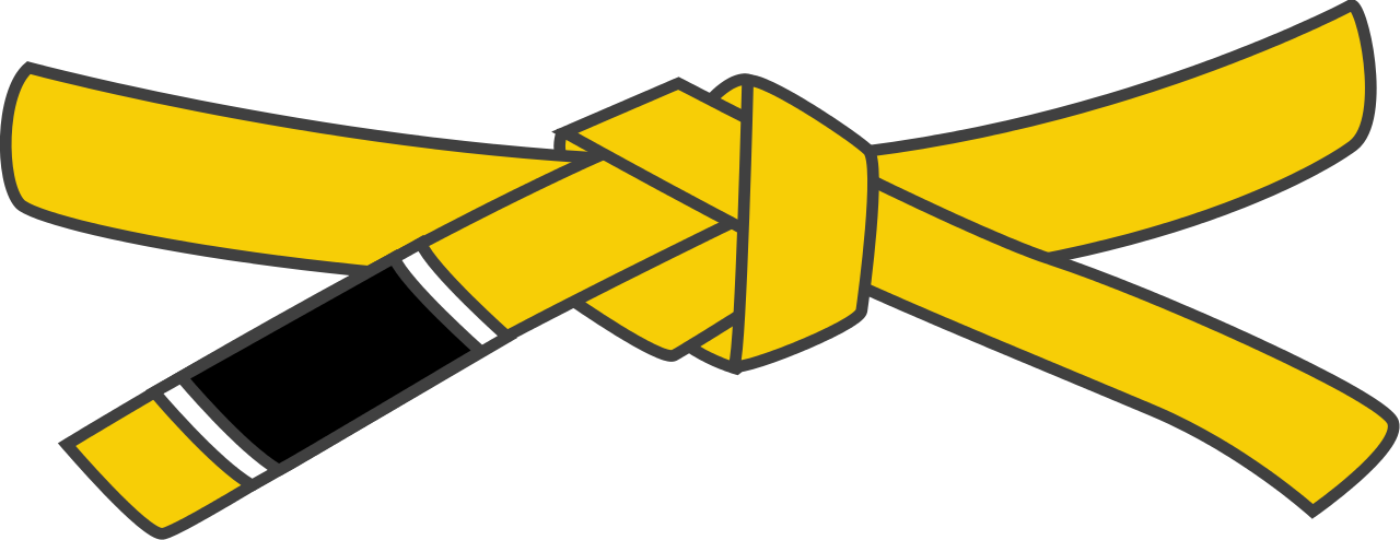 Bjj Yellow Belt - Jiu Jitsu White Belt (2000x772)