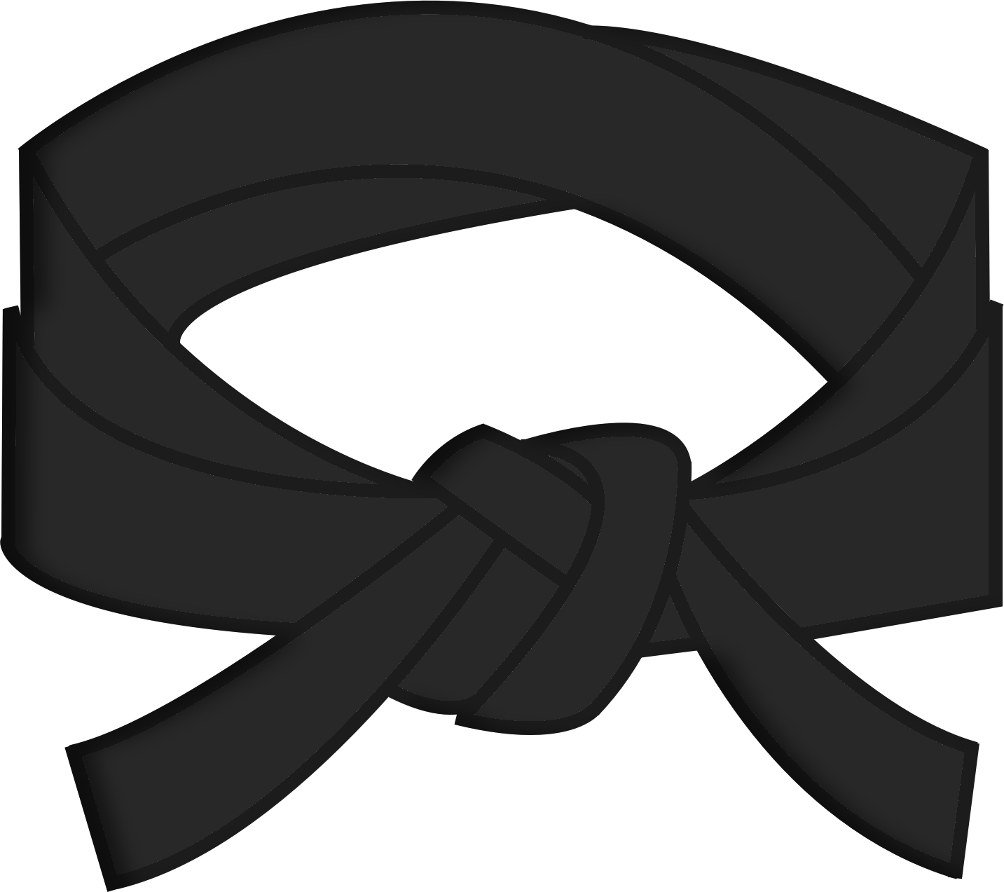 Karate Belt - Martial Arts Belt Png (1433x1273)