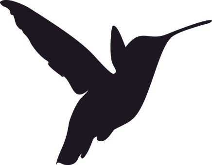 Silhouette Hummingbird Bird Decor Decorati - Hummingbird Stencil (436x340)