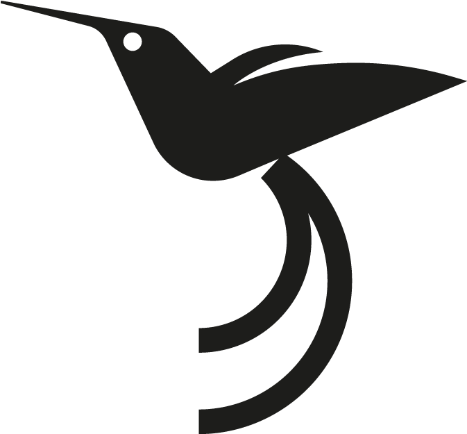 Hummingbird - Rufous Hummingbird (800x800)