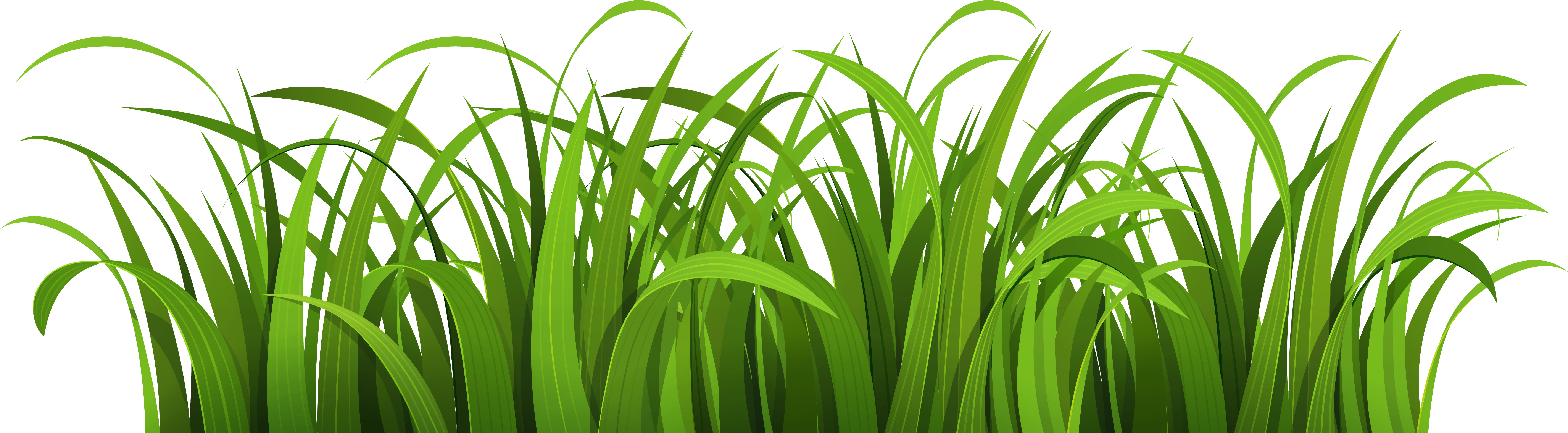 Grass - Green Grass Vector Png (7500x2250)