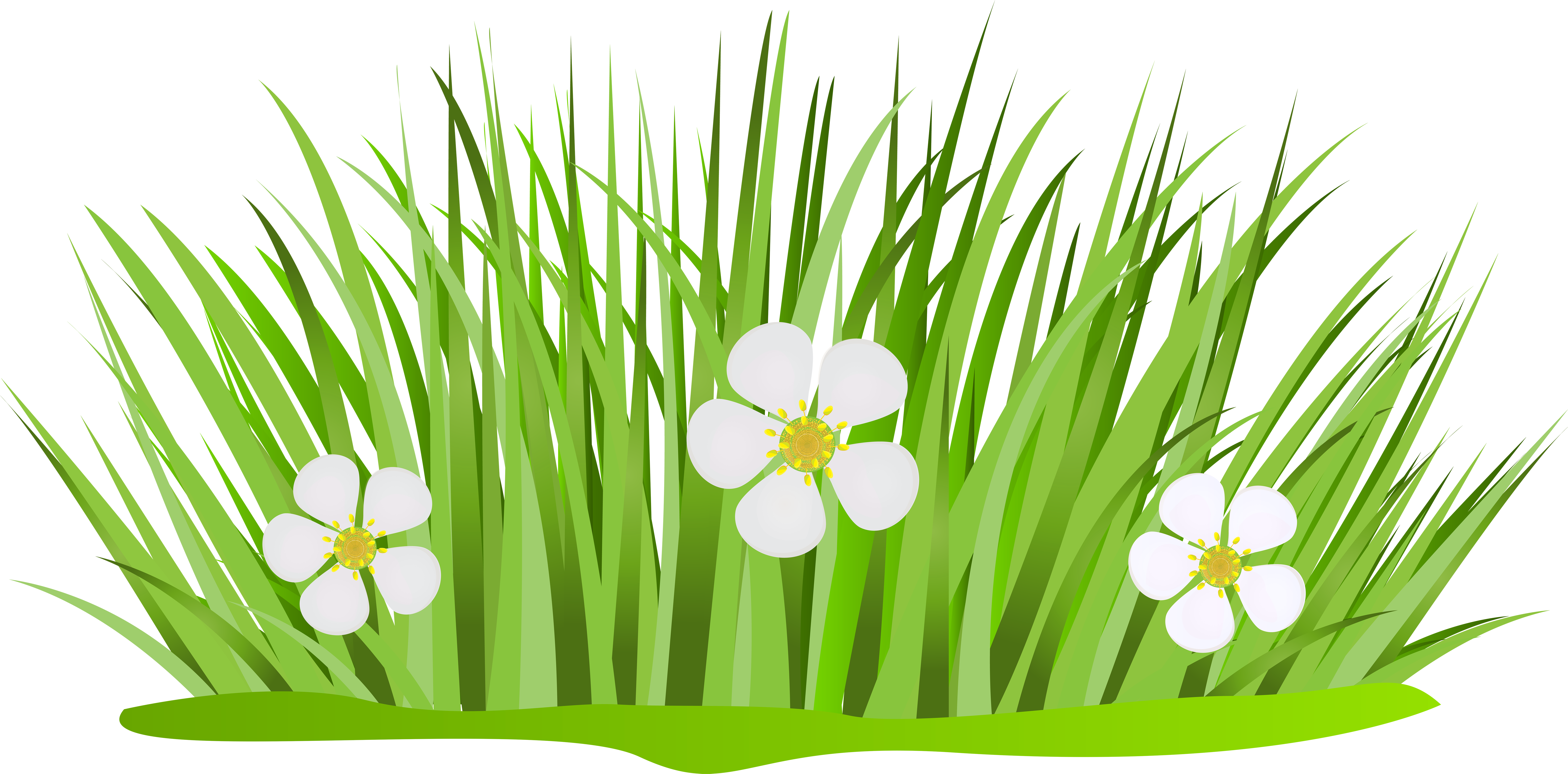 Grass Cartoon Png (8000x3951)