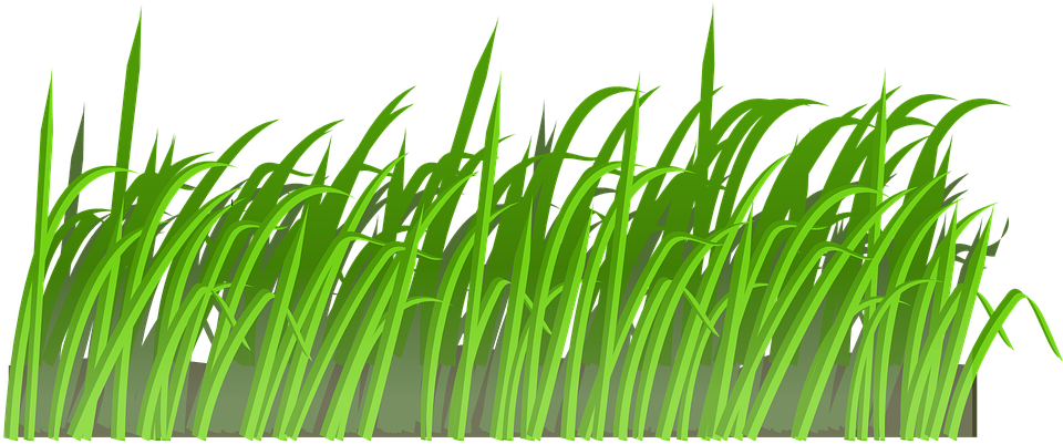 Free Grass Clipart 2, - Field Of Grass Shower Curtain (960x480)