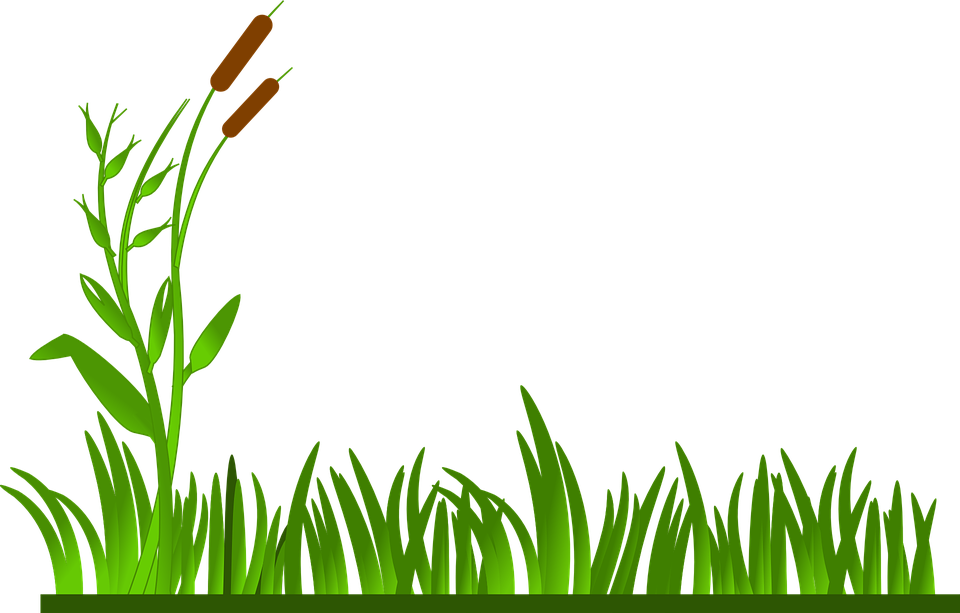 Free Grass Clipart 3, Buy Clip Art - Clip Art Grass Border (960x613)