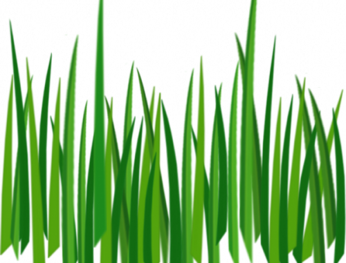 Grass Clipart Images R - Grass Texture (500x381)