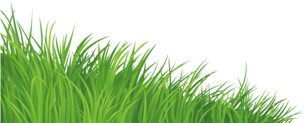 Gras .png (600x256)