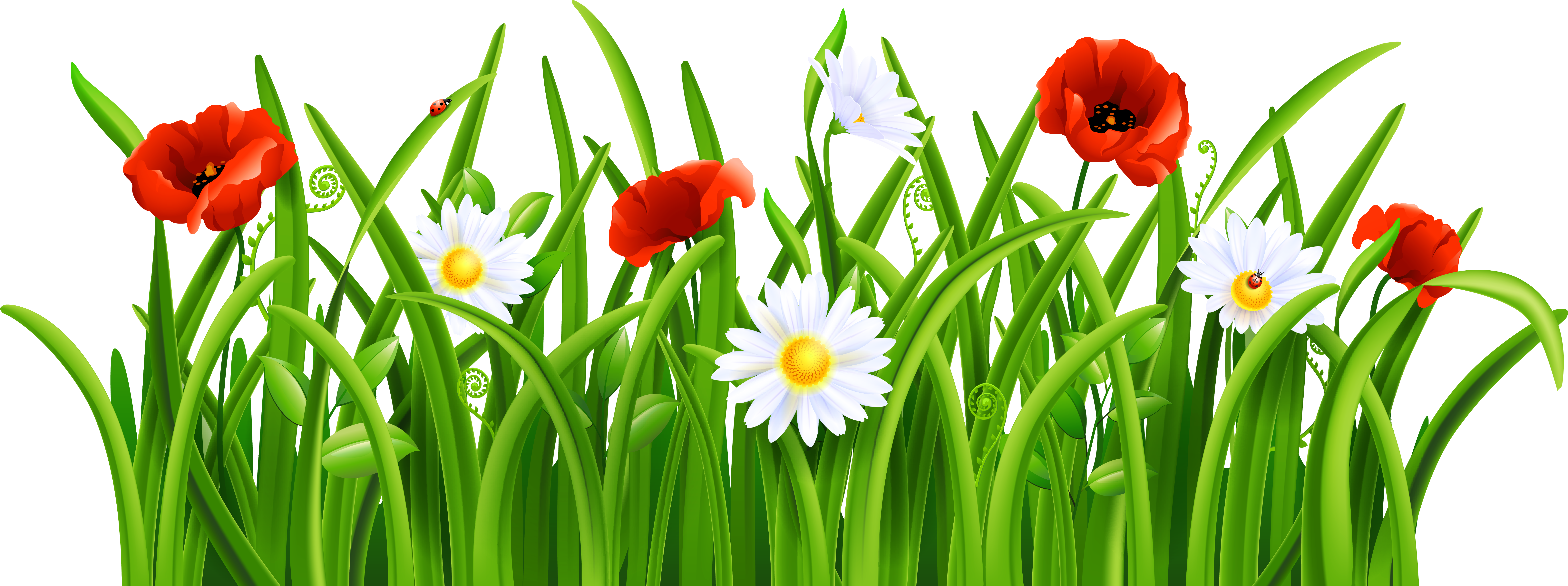 Flower Grass Clipart - Happy New Year 2018 Odia (8192x3597)