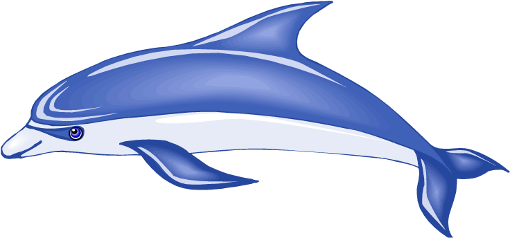 Cute Dolphin Clipart Animals Clip Art Downloadclipart - Bottlenose Dolphin Clip Art (750x356)