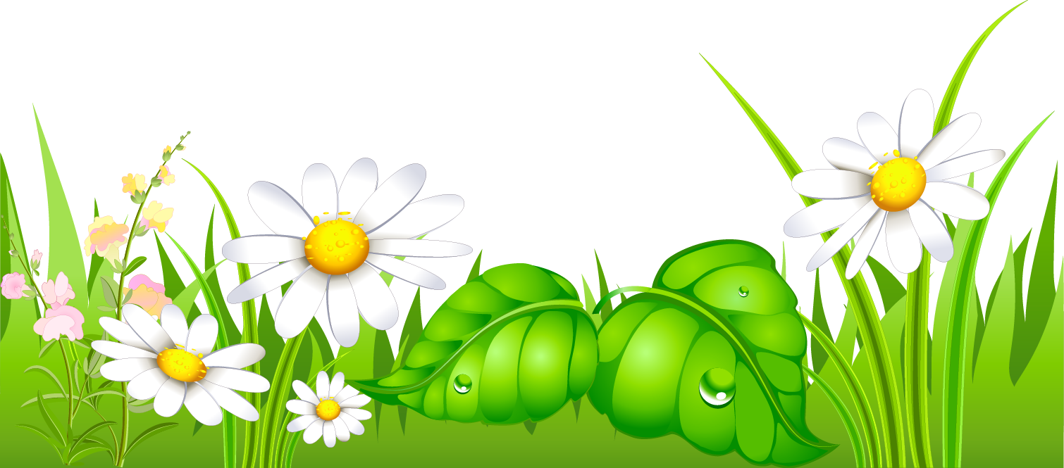 Grass Clip Art Clipart Image - Ground Png (1510x665)