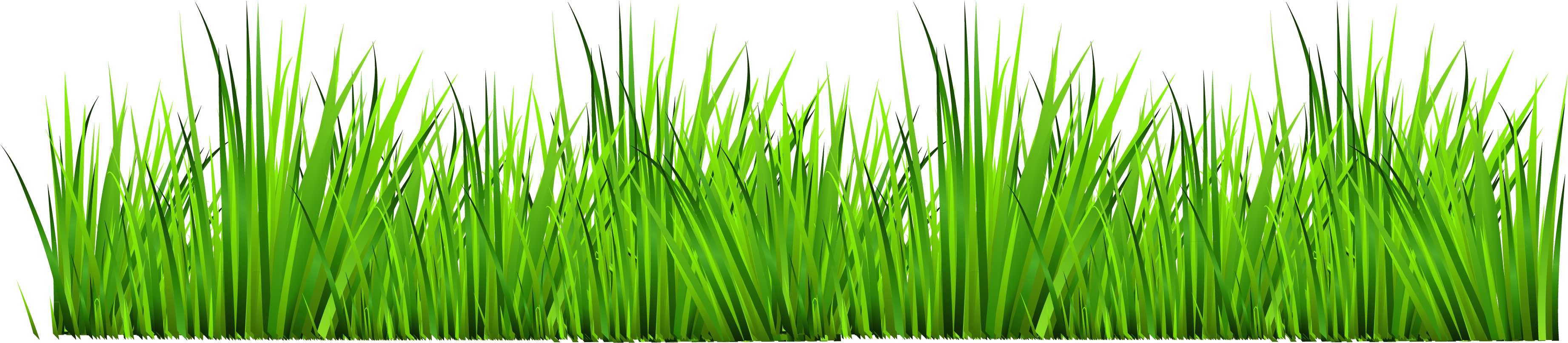 Grass Clip Art Clipart Cliparts For You - Clipart Grass (3788x974)