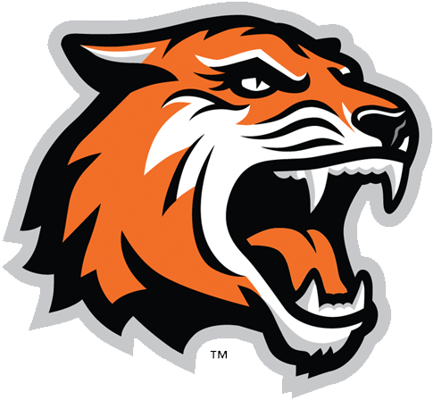 Primary Logo - Rochester Institute Of Technology Mascot (750x450)