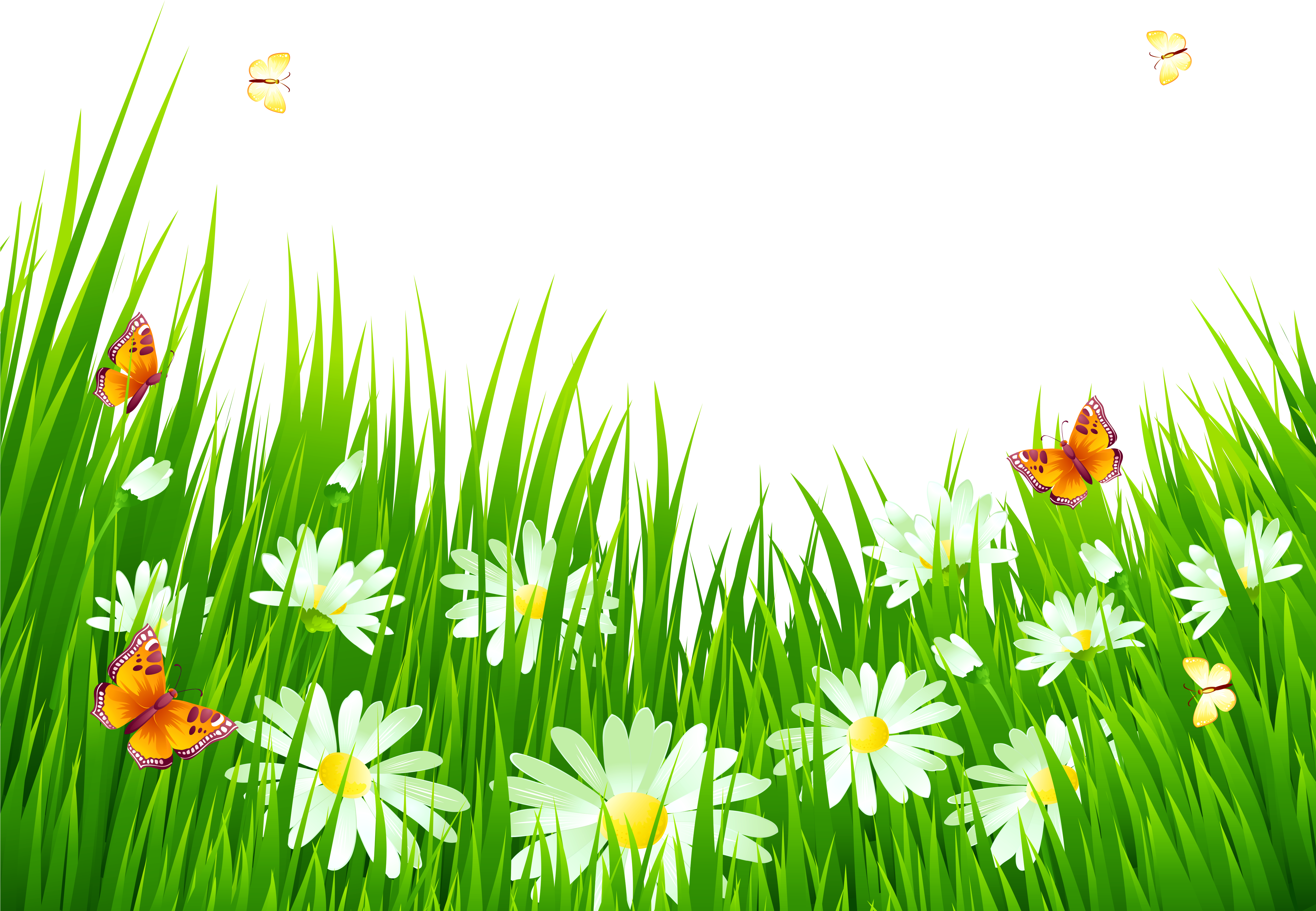 Grass And Flowers - Grass And Flowers Gif (5000x3623)