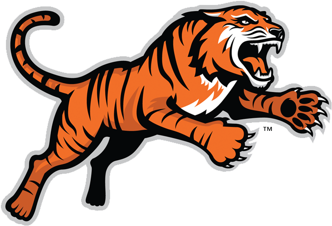 Alternative Logos - Rochester Institute Of Technology (750x450)