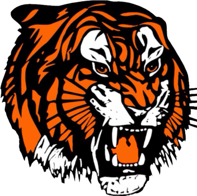 S - S - Medicine Hat Tigers Logo (800x799)