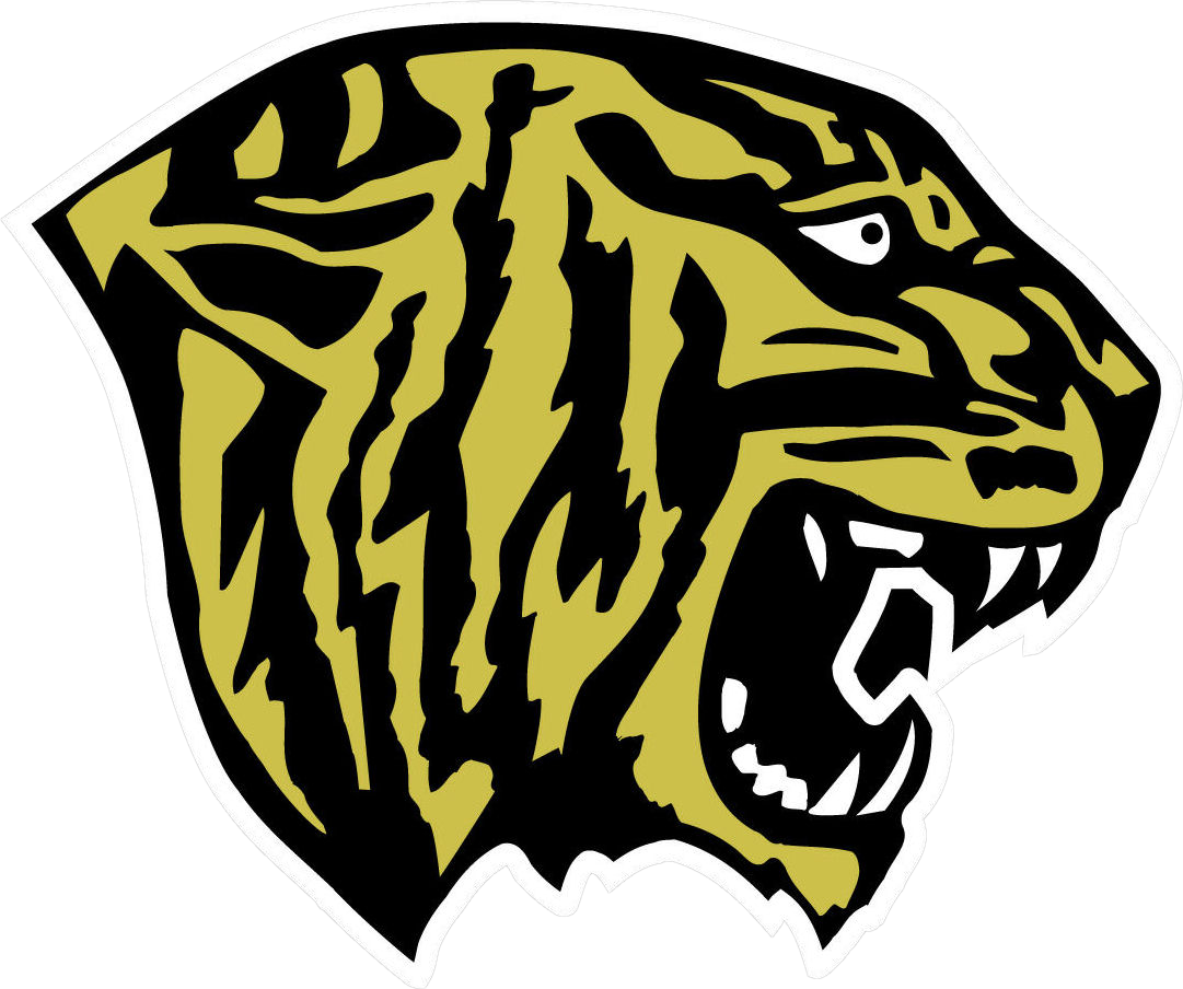Fridley Tigers - Fridley Tigers (1081x904)
