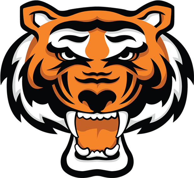 Rawlings Tigers Indiana (800x600)